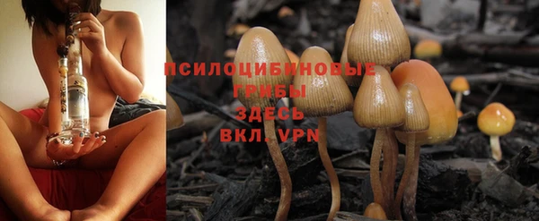 винт Армянск