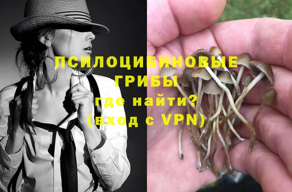 apvp Медногорск