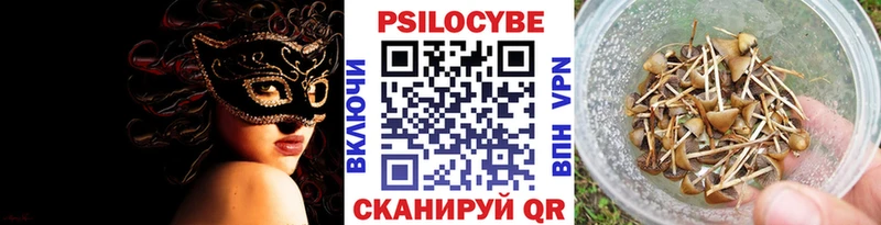 Галлюциногенные грибы Magic Shrooms  закладка  Чудово 